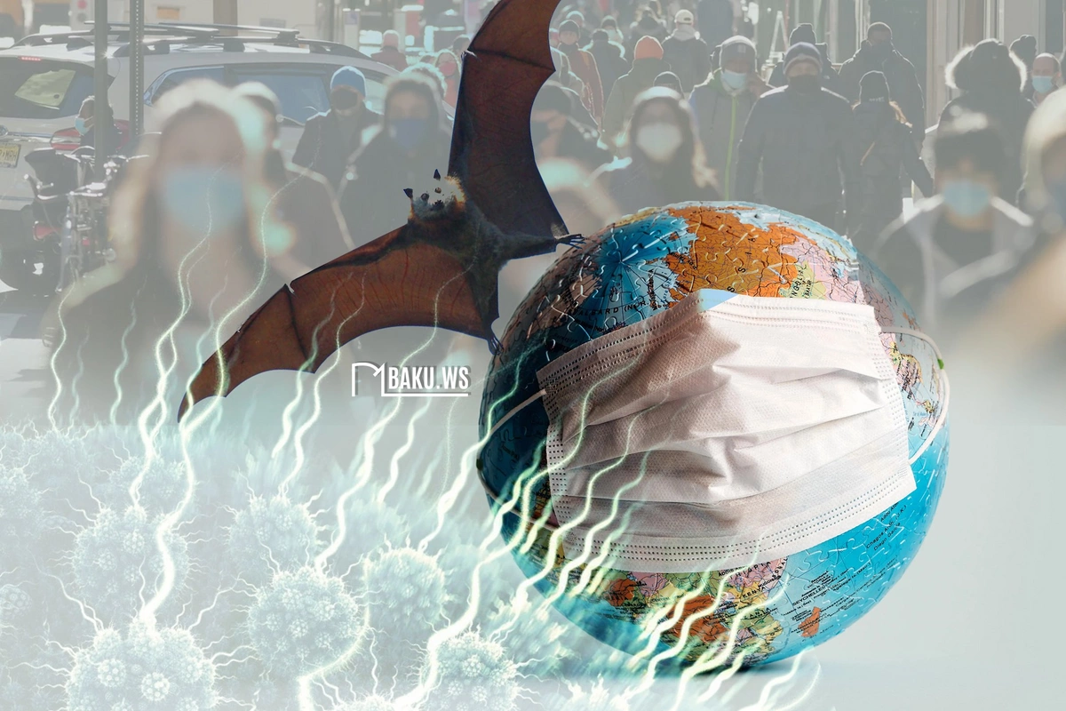 Yeni yarasa koronavirusu tapıldı - Alimlər ehtiyatlı olmağa çağırır