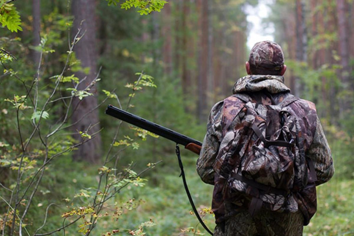 Sabahdan Azərbaycanda ov mövsümü açılır