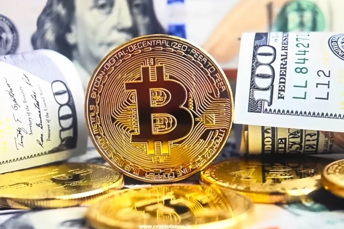 Bir zamanlar dəyəri yox idi, indi isə yüz milyonlarla dollar edir: Ən sirli pul kisələrindən biri yenidən aktiv oldu