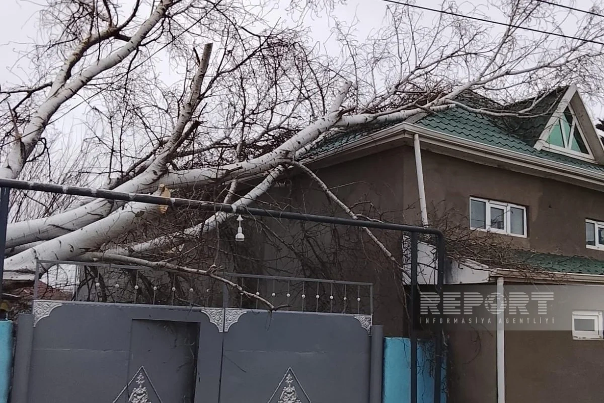 Biləsuvar və Cəlilabadda güclü külək bir sıra fəsadlara səbəb olub