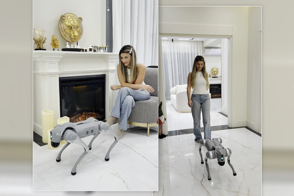 Azərbaycanlı bloger evinə robot aldı