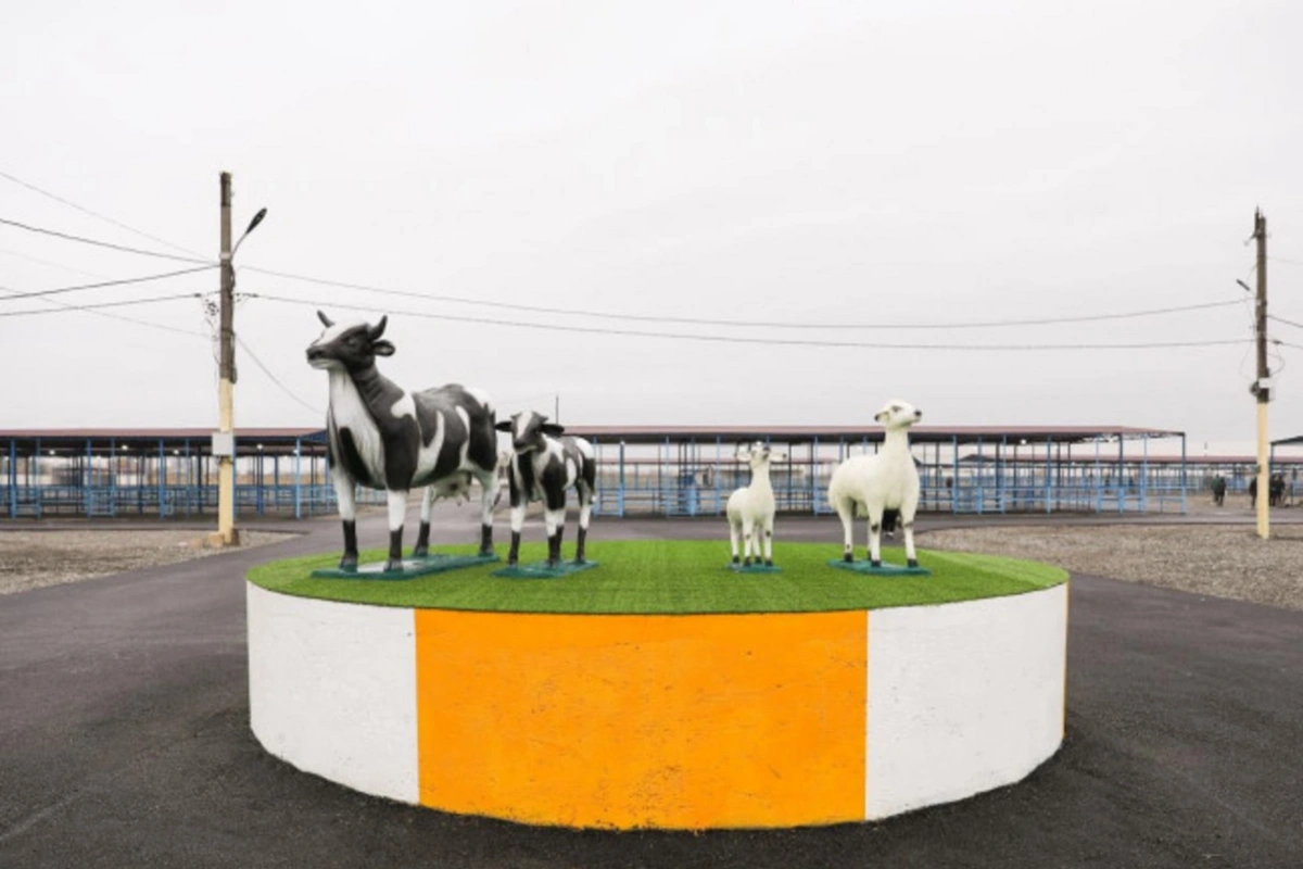 Çox insanın gözlədiyi XOŞ XƏBƏR - Yaxın günlərdə...