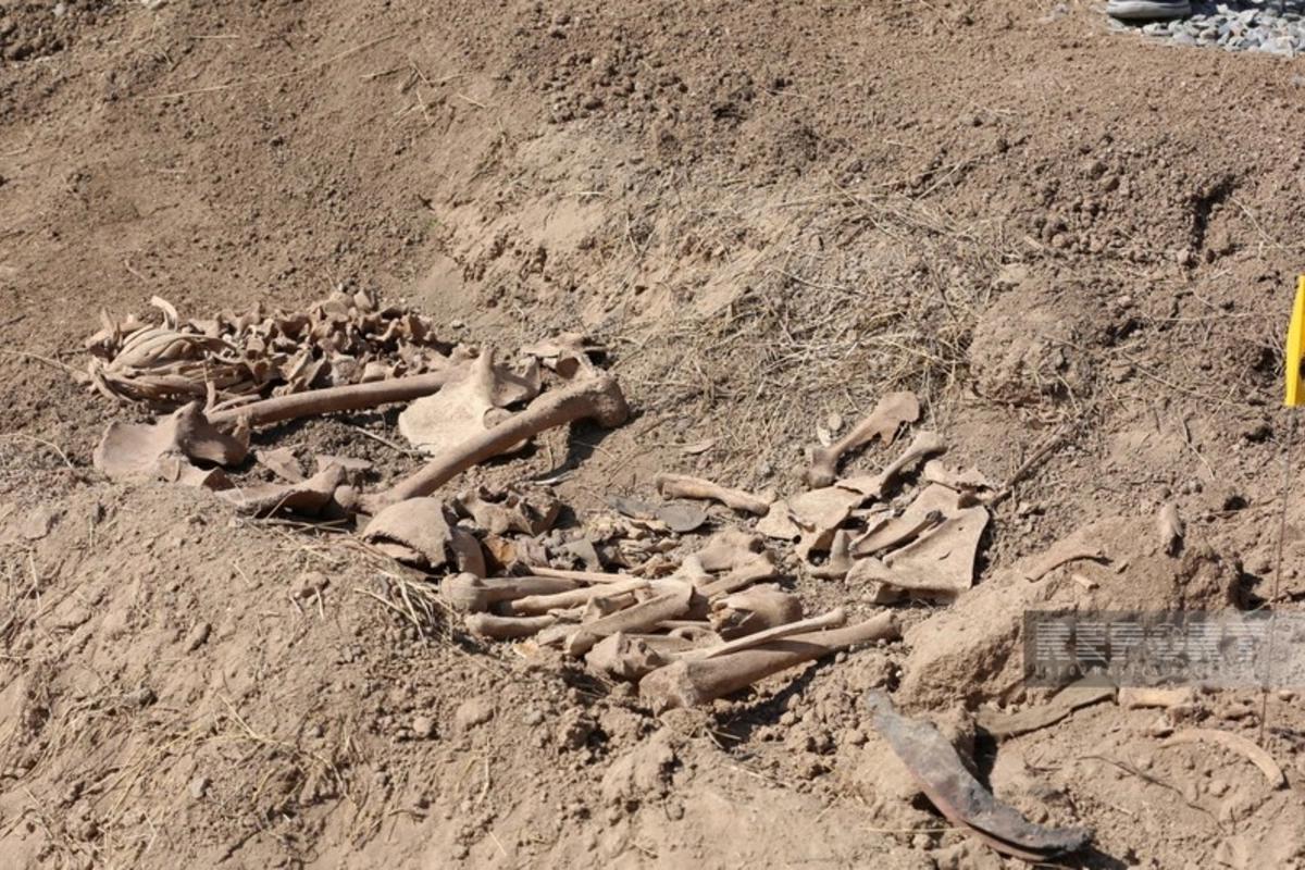 Ağdamda insan skeletinə bənzər sümük fraqmentləri aşkar edilib Ağdamda insan skeletinə bənzər sümük fraqmentləri aşkar edilib
