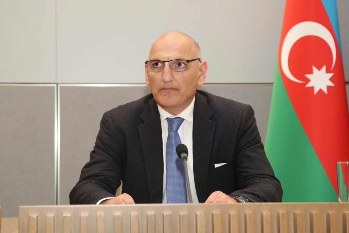Elçin Əmirbəyov: Ərazimizin 13 faizindən çoxu minalar və partlamamış hərbi sursatlarla çirklənib