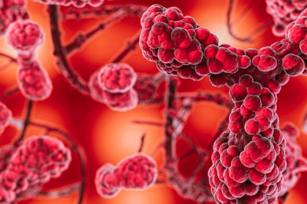 Scientists: Chemotherapy leads to activation of dormant cancer cells