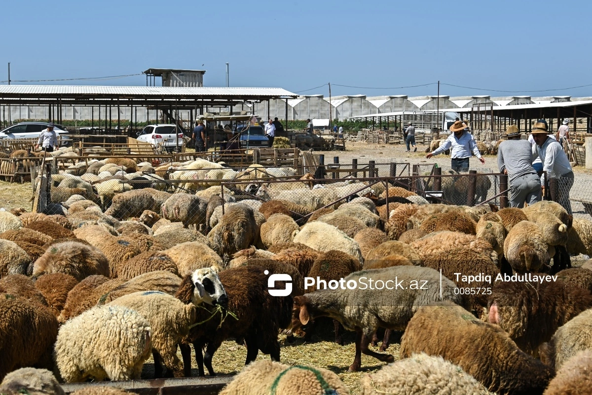 Bunu etməyənlərə məhdudiyyətlər tətbiq ediləcək