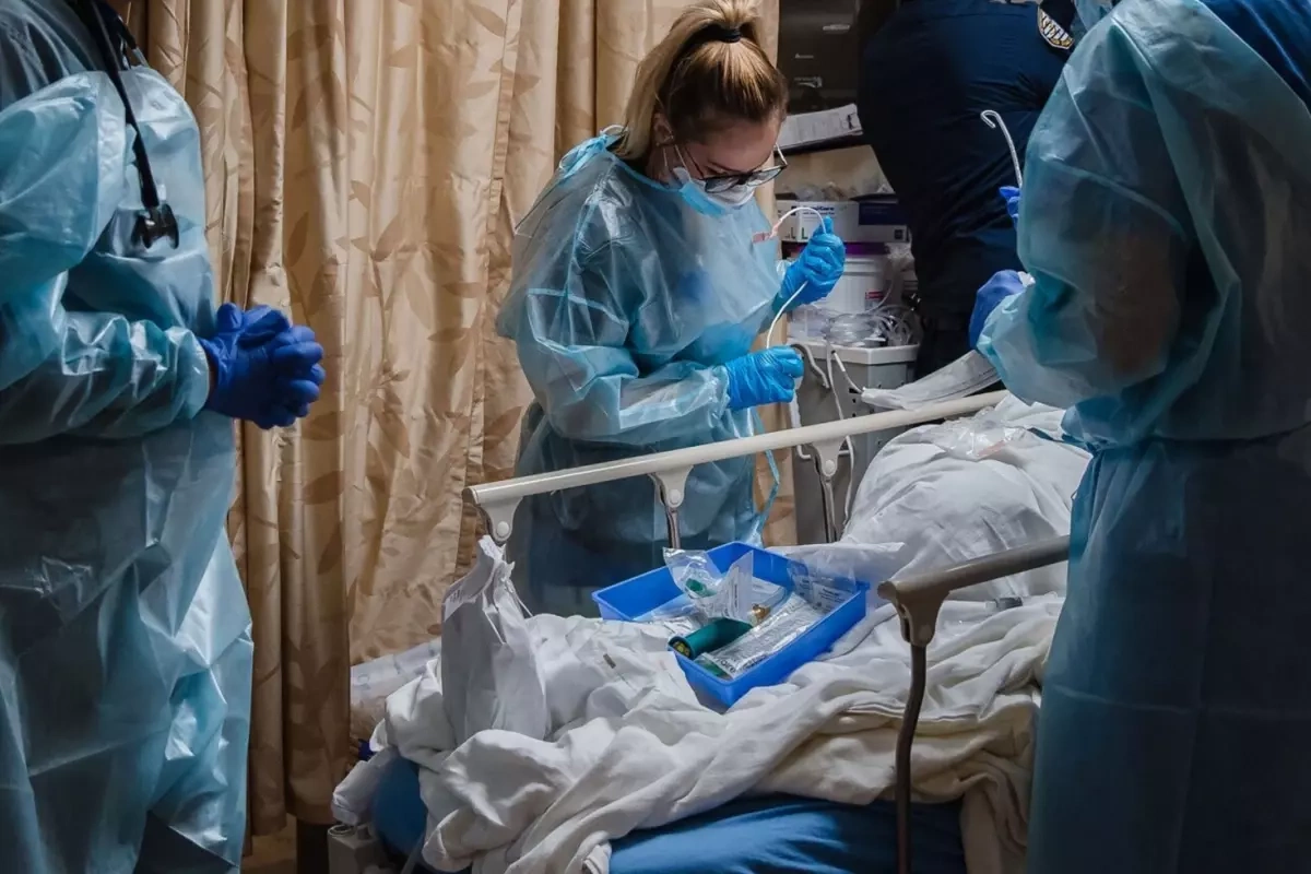 7 dəfə mutasiyaya uğrayan H3N2 qrip virusu Türkiyədədir