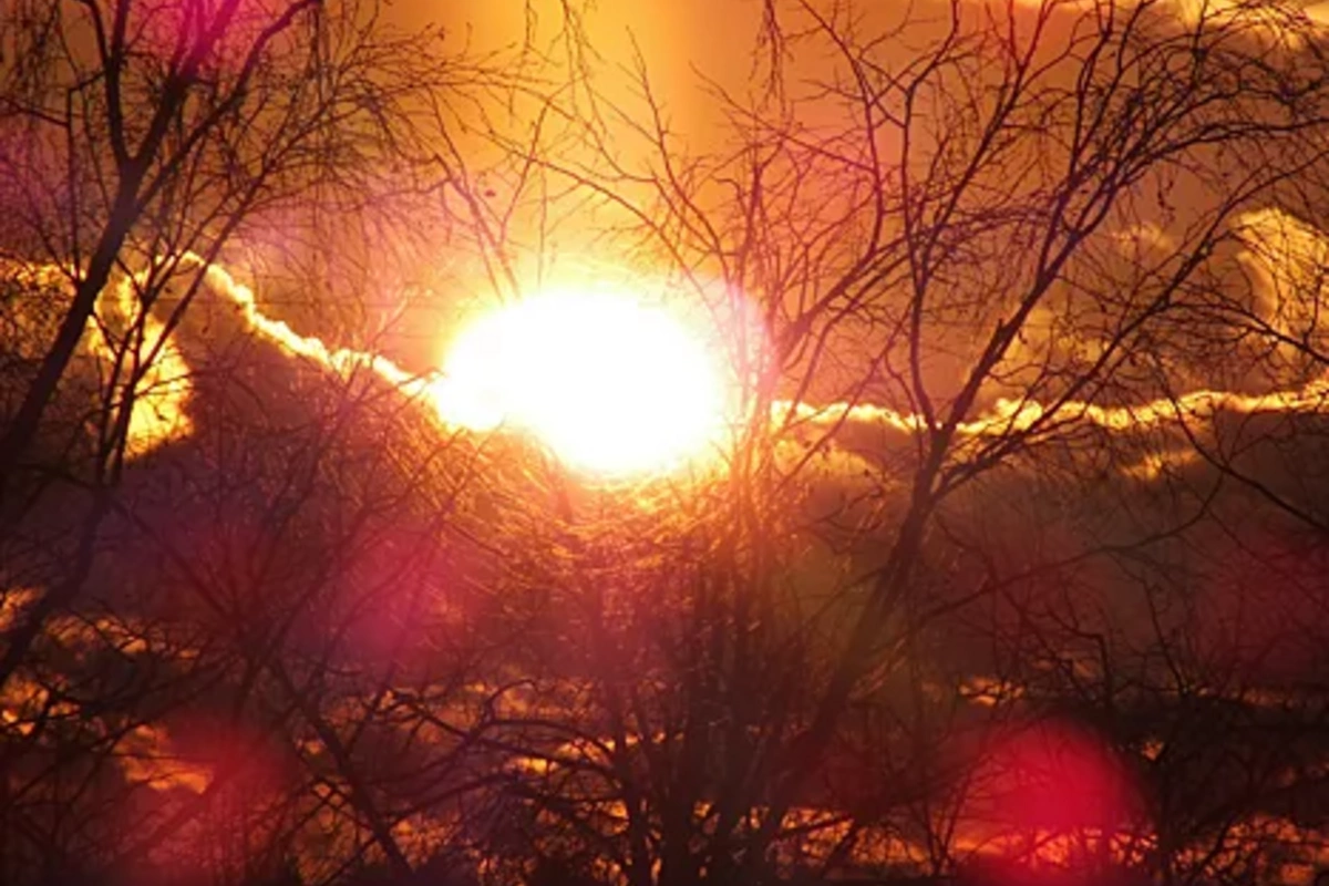 End of the solar maximum: what awaits Earth in the coming years End of the solar maximum: what awaits Earth in the coming years