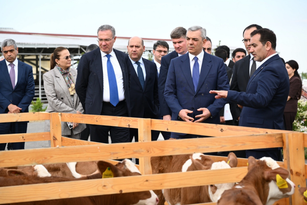 Xocalıda Qoç Ətin heyvandarlıq kompleksi ilə tanışlıq olub