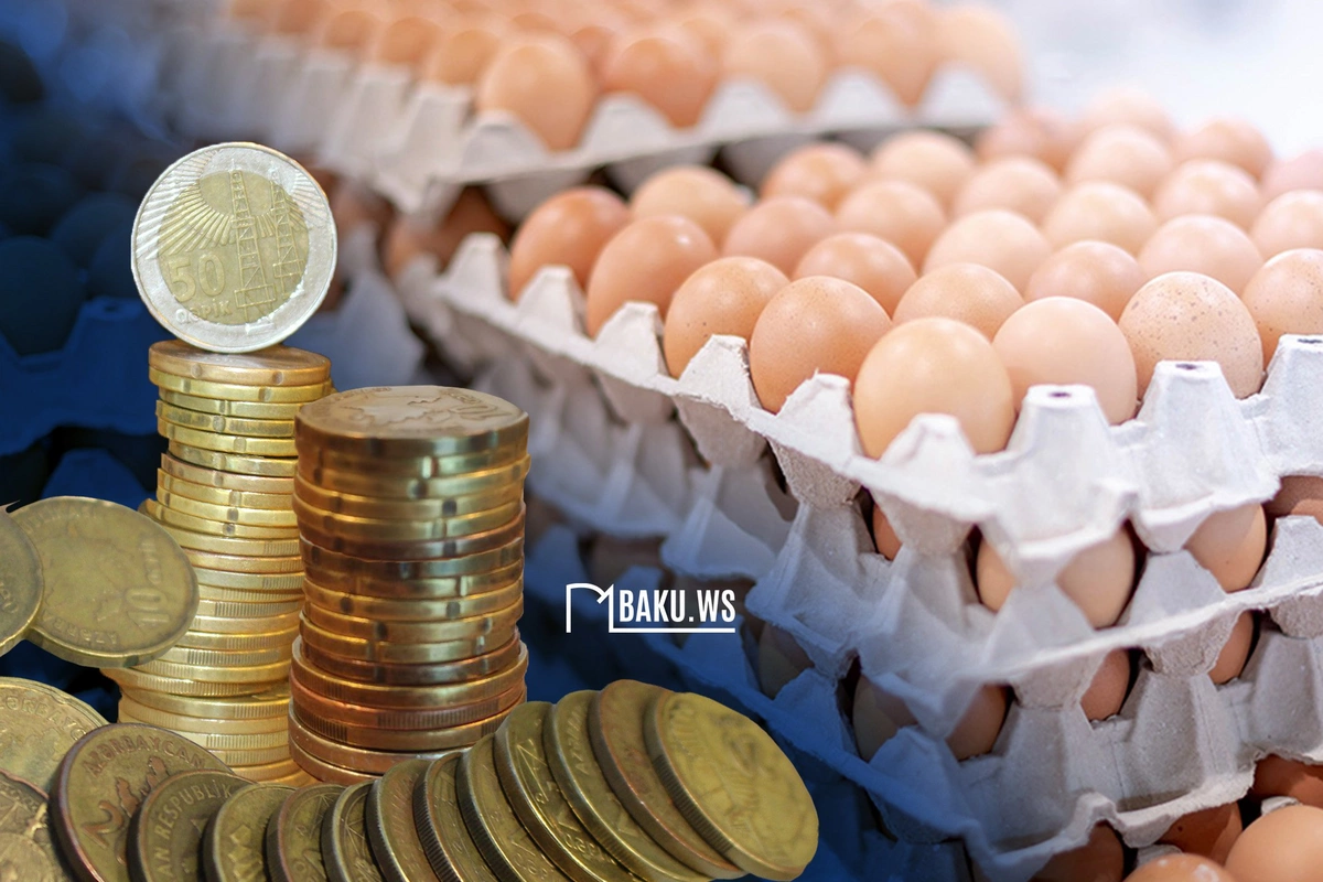 Azərbaycanda yumurtanın qiyməti ilə bağlı SEVİNDİRİCİ XƏBƏR