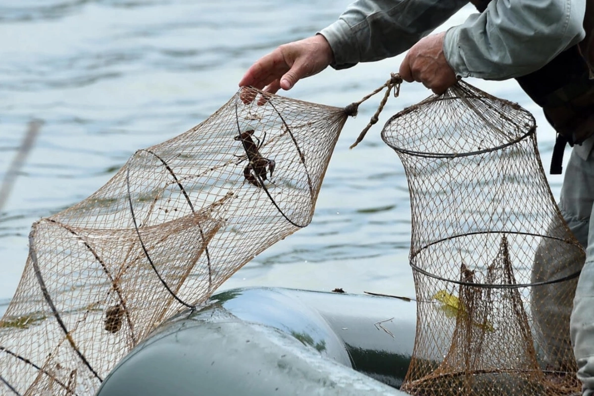 Qanunsuz balıq ovu ilə bağlı XƏBƏRDARLIQ