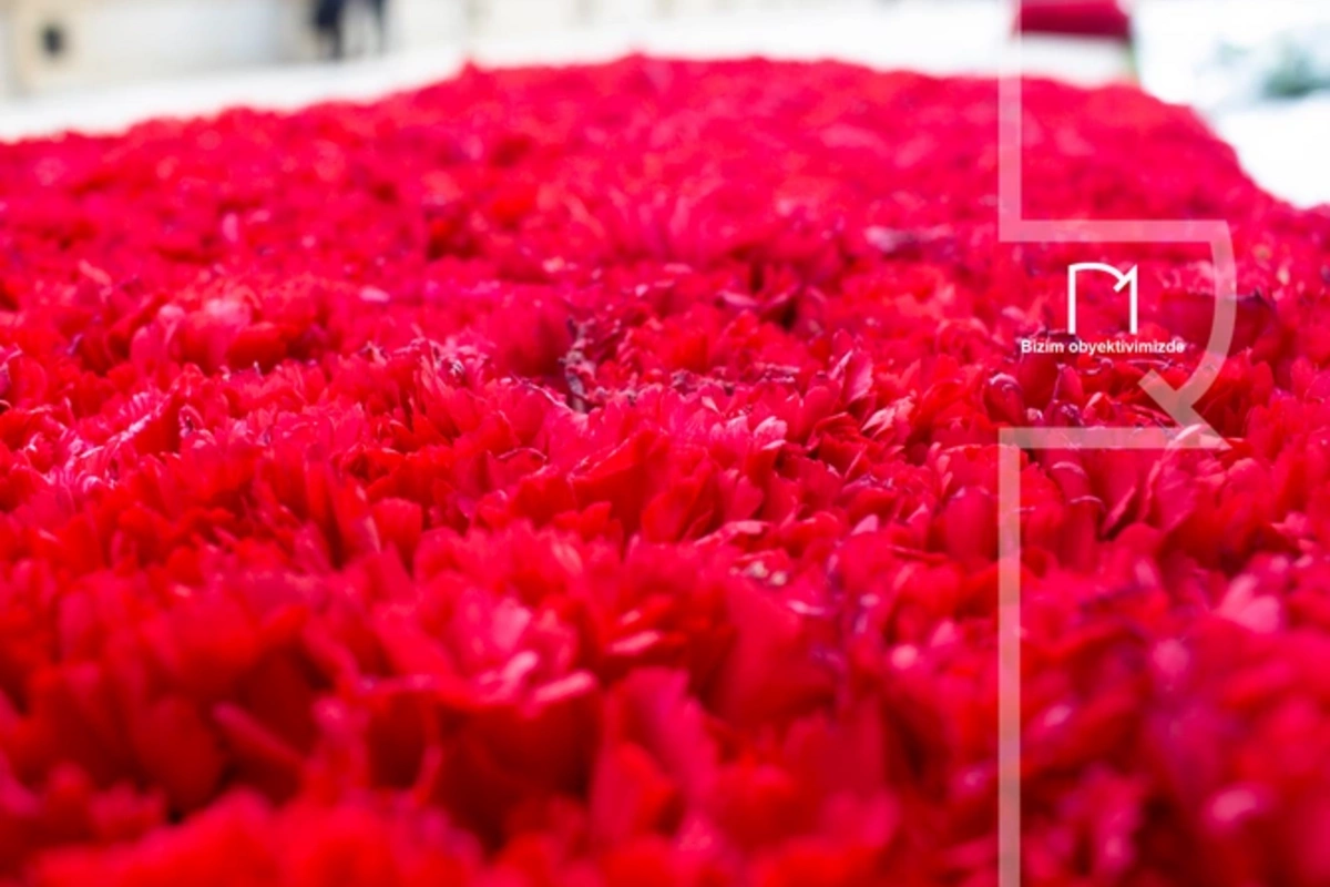 20 Yanvar: 36 il sonra da unudulmayan MİLLİ QƏHRƏMANLIQ DASTANI