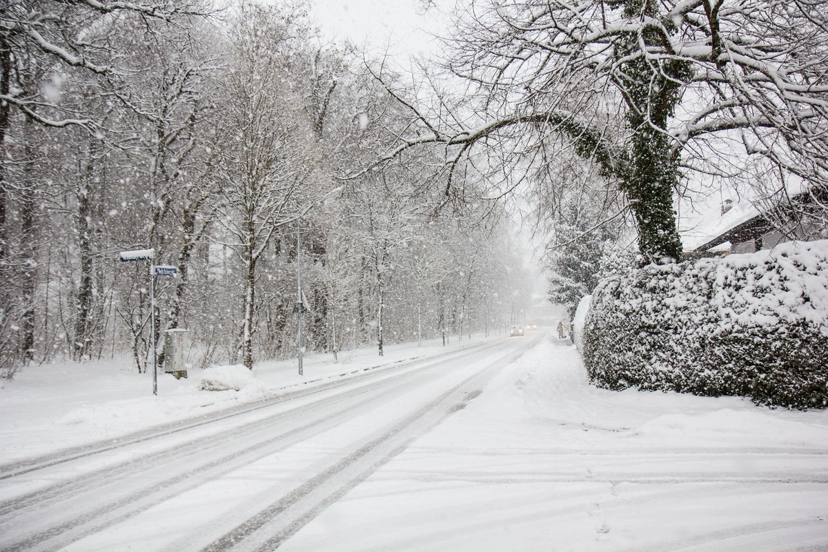 Şahbuzda qarın hündürlüyü 48 sm-ə çatıb - FAKTİKİ HAVA