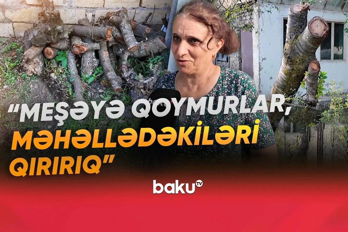 30 ildən çoxdur qaz üzünə həsrət qalan sakinlər: Gilas ağacını kəsib yandırırıq