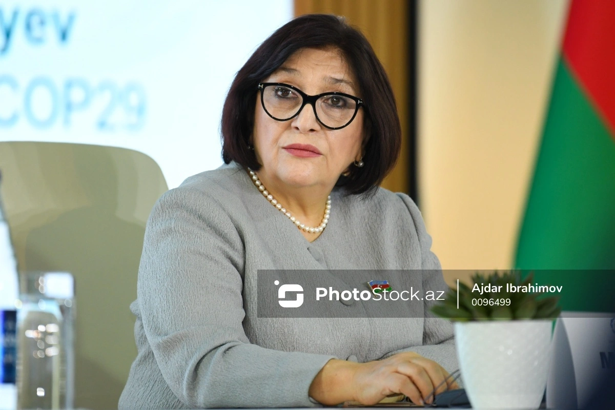 Сахиба Гафарова выразила соболезнования Нуману Куртулмушу