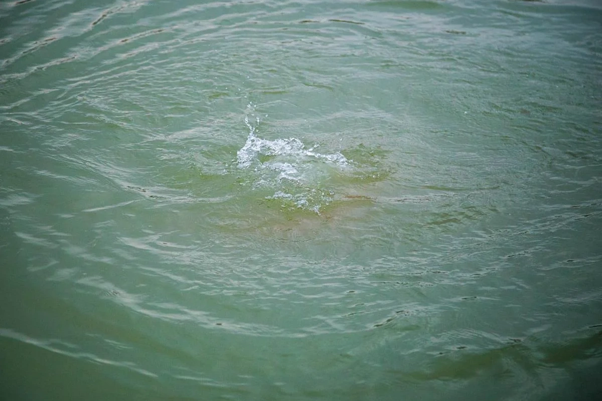 Lənkəranda bir neçə gün əvvəl dənizdə batan kişinin meyiti tapılıb