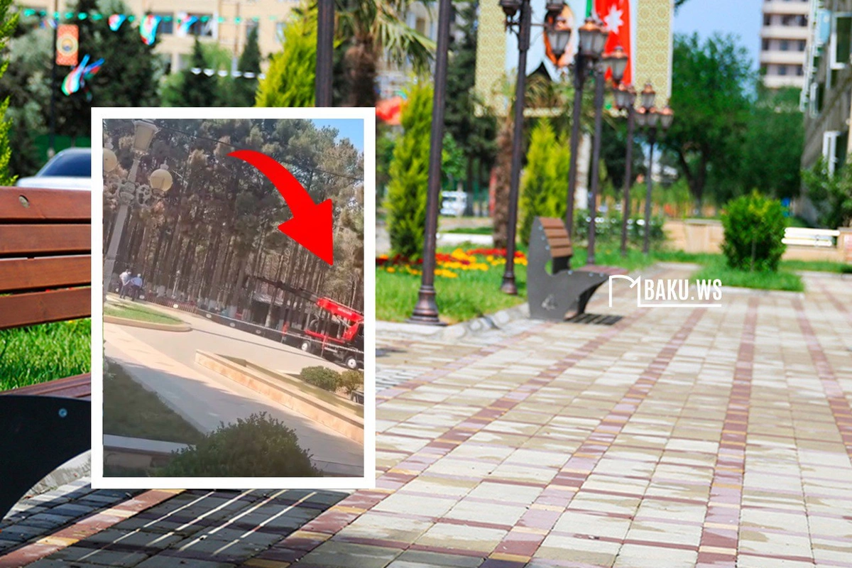 Heydər Əliyev parkındakı restoranın ətrafında qurumuş ağaclar kəsilib Heydər Əliyev parkındakı restoranın ətrafında qurumuş ağaclar kəsilib