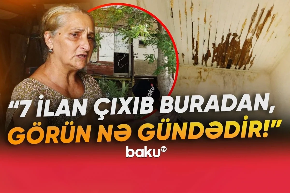 O qədər bərbad vəziyyətdədir ki, evdən yeddi ilan çıxıb - Neft milyonçusunun Mərdəkandakı mülkü BAXIMSIZ HALDA