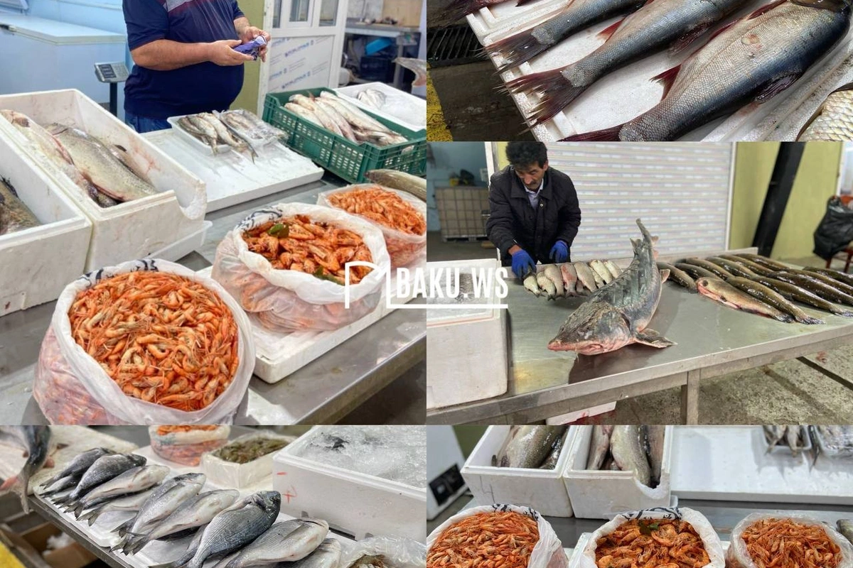 Balıqçılıq məhsullarının yeni satış qaydası müəyyənləşir
