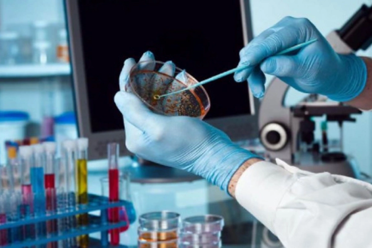 WHO warned of sharp rise in antibiotic-resistant infections