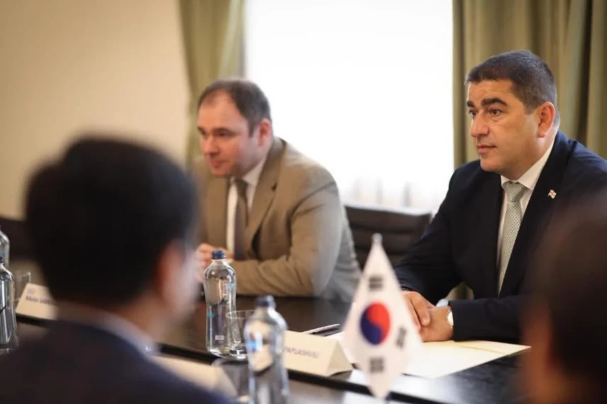 Gürcüstan və Koreya Orta Dəhlizin rolunu müzakirə edib