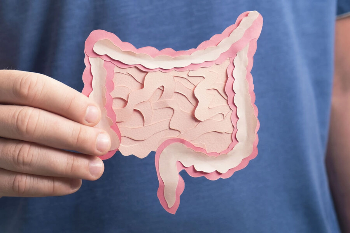 A bacterium has been found that strengthens and increases human muscles