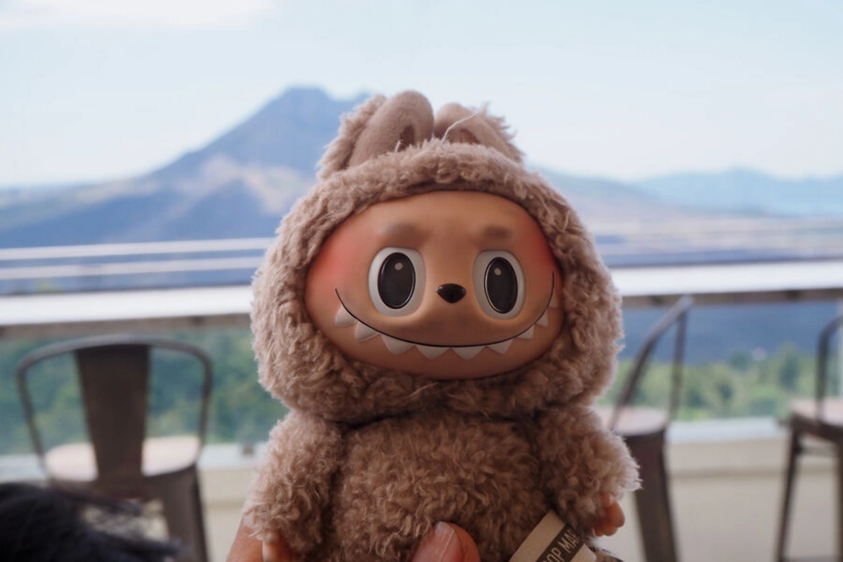Fans of the Labuboo toy cut it open and were horrified to see what was inside Fans of the Labuboo toy cut it open and were horrified to see what was inside