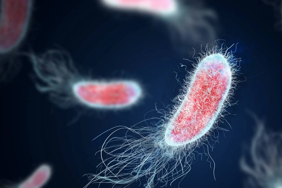 Təkrarlanan infeksiyalar nədən xəbər verir?