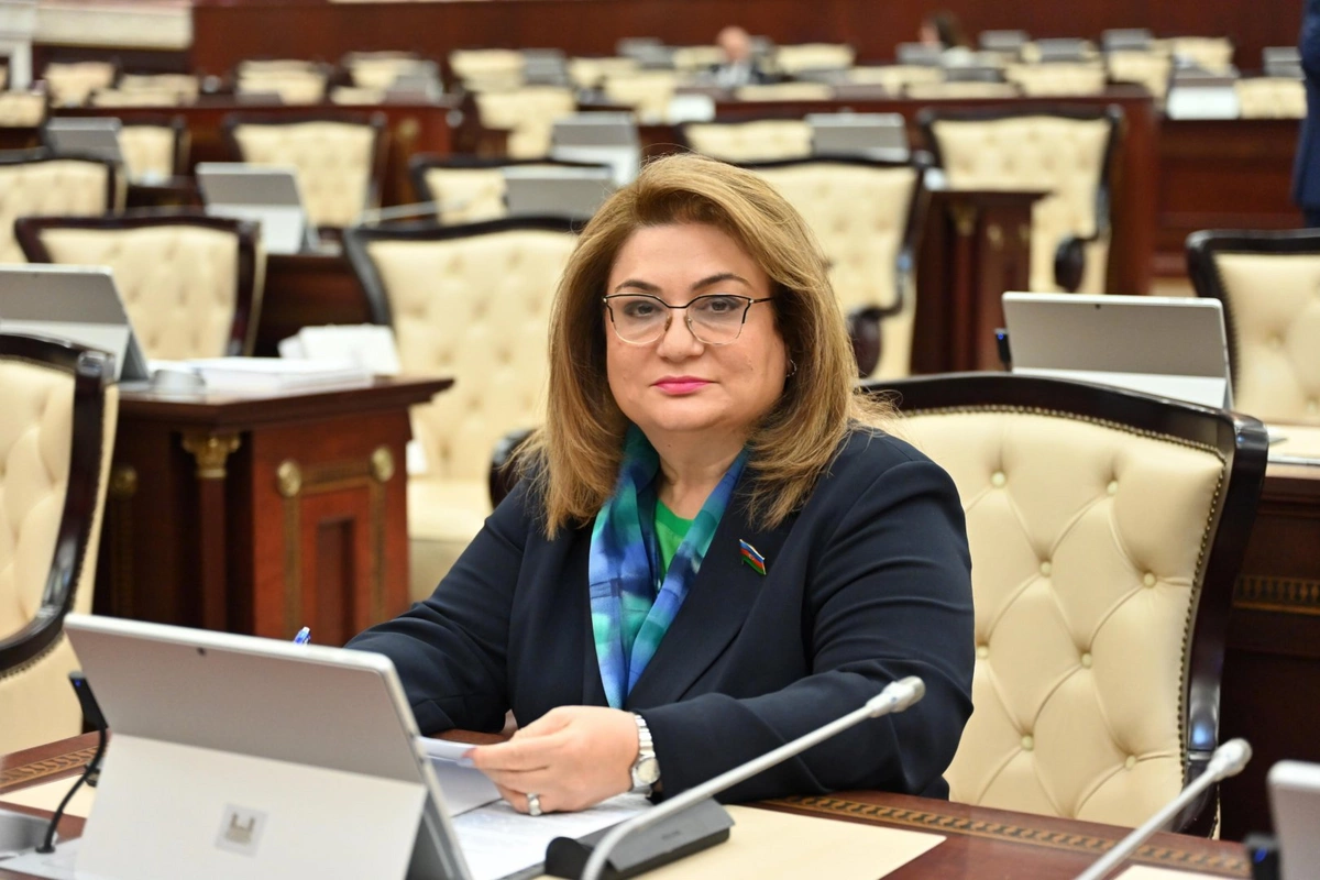 Azərbaycan və Özbəkistan münasibətləri yeni tarixi mərhələ astanasında ŞƏRH