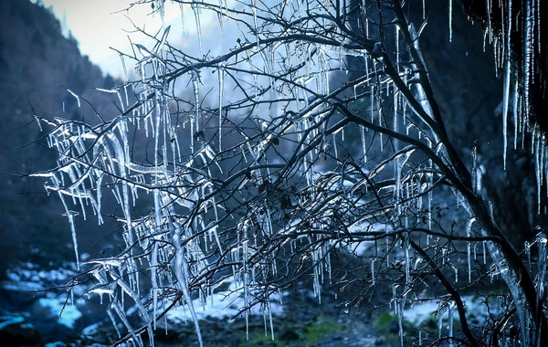 Sabah 13° şaxta olacaq - Proqnoz