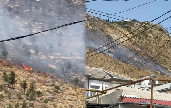 Səbaildə səhərdən başlayan yanğın davam edir: Külək alovu ətrafa yayır