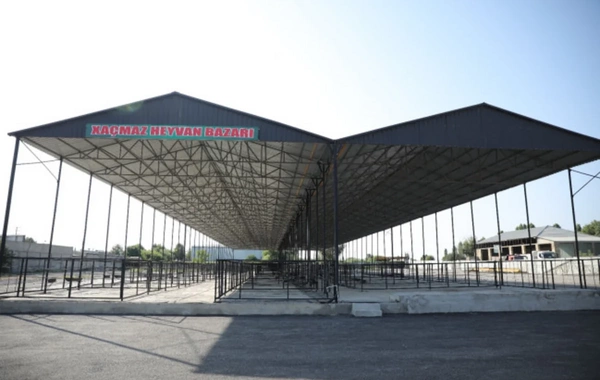 Xaçmazda heyvan bazarı fəaliyyətə başlayıb