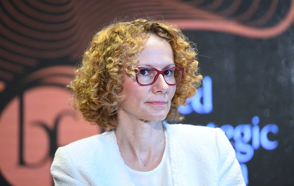 NATO Baş katibinin müavini yanvarın 21-də Azərbaycana səfər edəcək