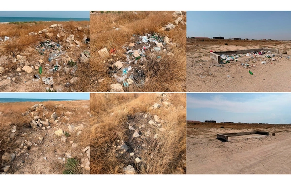 IDEA İctimai Birliyi Bilgəhdə sahilyanı təmizlik aksiyası keçirib