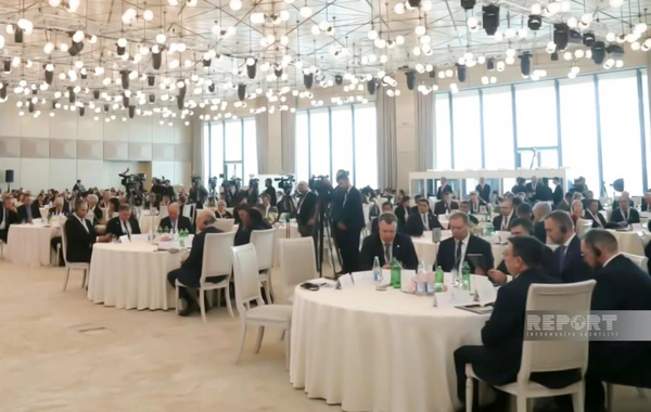 İtkin düşmüşlərlə bağlı Bakı Dialoqu çərçivəsində yekun bəyannamə qəbul edilib