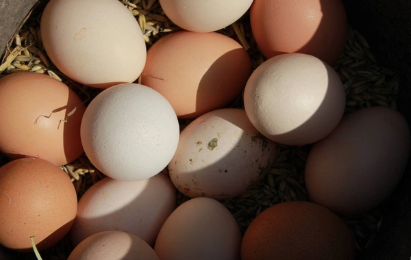 В Баку и регионах резко подорожали деревенские яйца