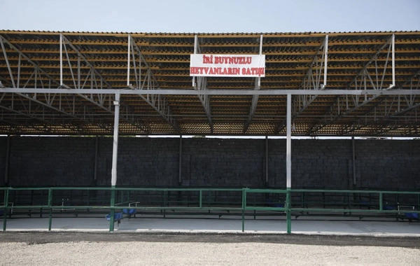 Binə qəsəbəsində yeni heyvan bazarı fəaliyyətə başlayıb