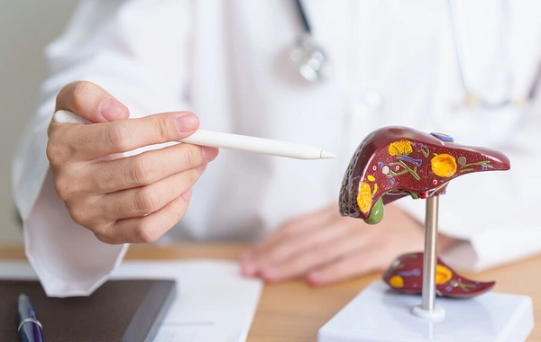 In Japan, AI was taught to detect liver diseases from chest X-rays