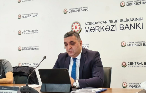 Azərbaycanın idarə, müəssisə və təşkilatlarının 9 ayda qiymətli kağızlar bazarından gəliri açıqlanıb