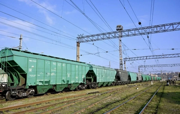 Azərbaycandan tranzit keçməklə Ermənistana gübrə və qarabaşaq göndəriləcək