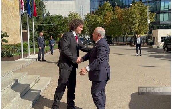 Əli Əsədov Tbilisidə İrakli Kobaxidze ilə görüşüb