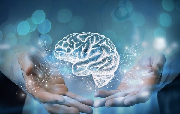 Названа привычка долгожителей, сохраняющая молодость мозга