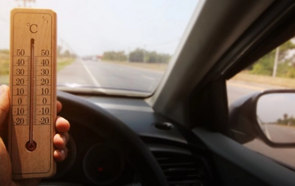 Items that are dangerous to leave in a car in hot weather## Translated from Russian to English