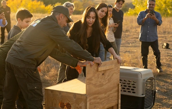 Leyla Əliyeva və Arzu Əliyeva Qaxda Axar-Baxar Milli Parkının açılış mərasimində iştirak ediblər Leyla Əliyeva və Arzu Əliyeva Qaxda Axar-Baxar Milli Parkının açılış mərasimində iştirak ediblər