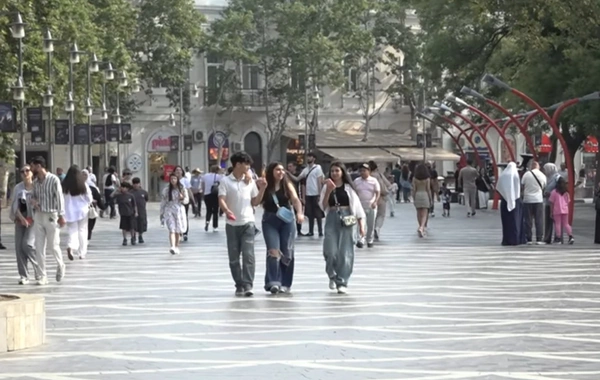 Puldan pul qazanmağın yolları: Sakinlər hansı üsullardan istifadə edirlər?