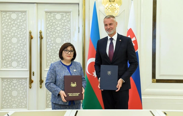 Sahibə Qafarova Slovakiya Milli Şurasının sədri ilə görüşüb