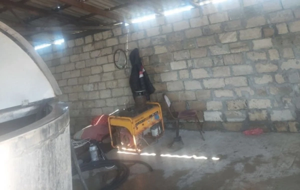 Beyləqanda süd qəbulu məntəqəsində nöqsanlar aşkarlandı, müəssisə bağlandı