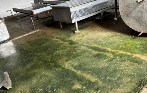 Süd və süd məhsullarının istehsalı müəssisəsində nöqsanlar aşkarlanıb