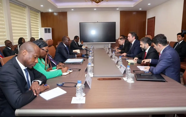 SOCAR-ın prezidenti Kot-d'İvuarda görüşlər keçirib