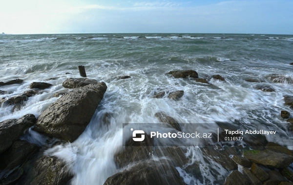 Ильхам Алиев: Вода Каспийского моря не очень соленая